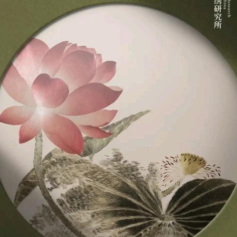 阿文 ：日常记录