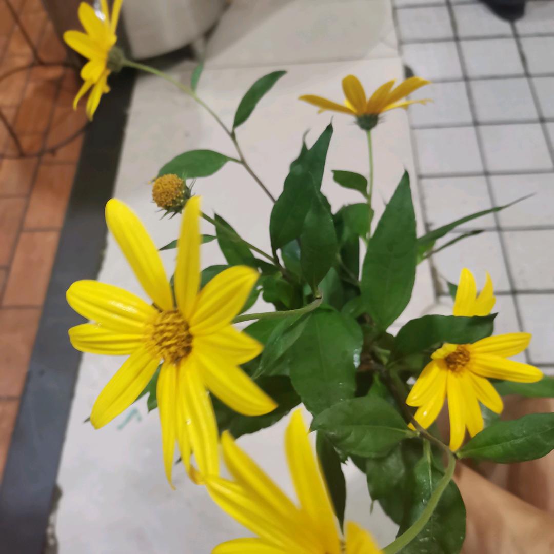 🌈小杨🌻🌻🌻🌈