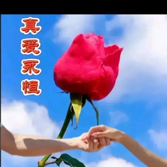 邵阳红哥