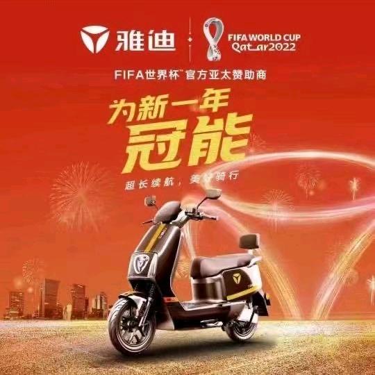 孝直雅迪