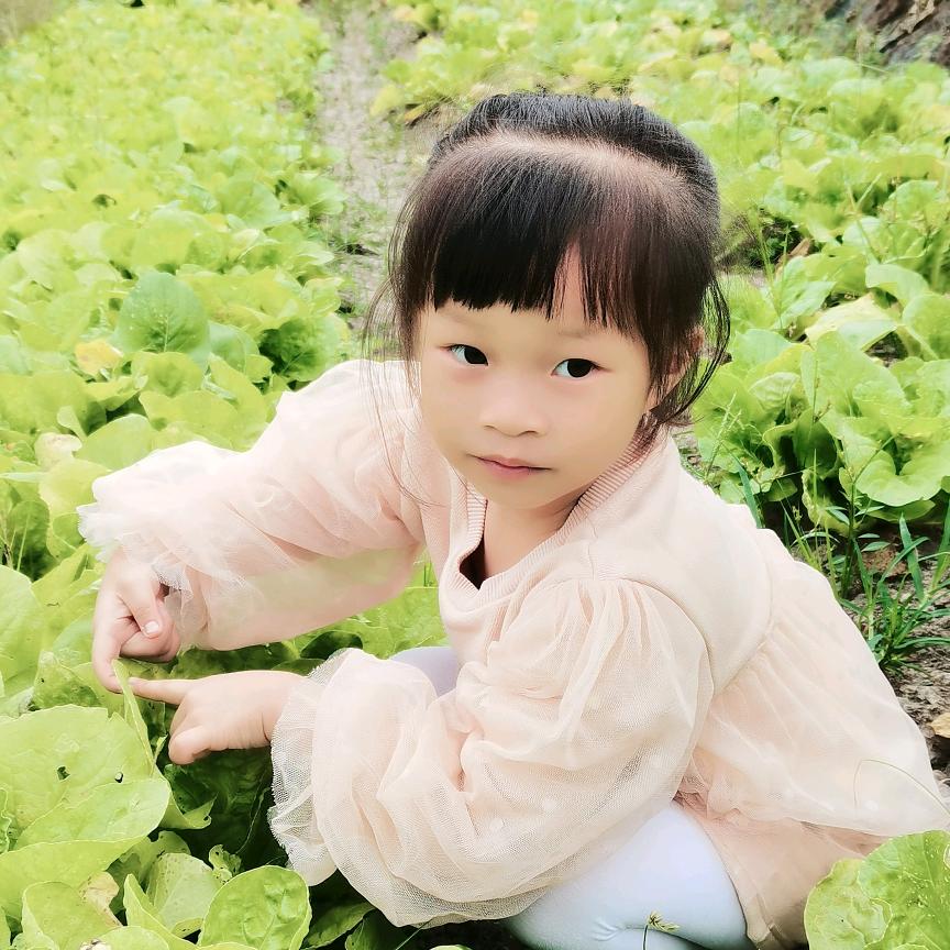 豆芽芽