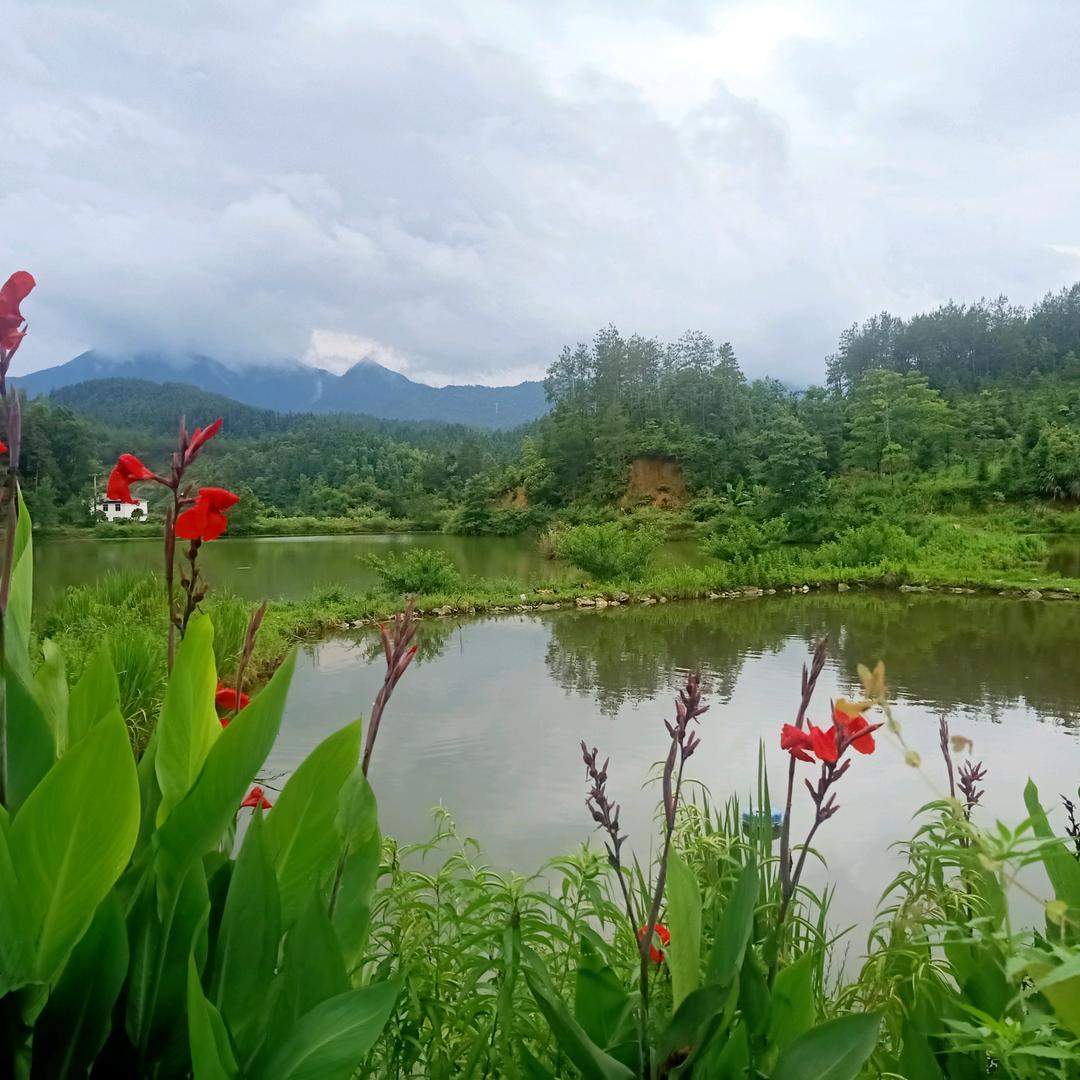 丰阳农场