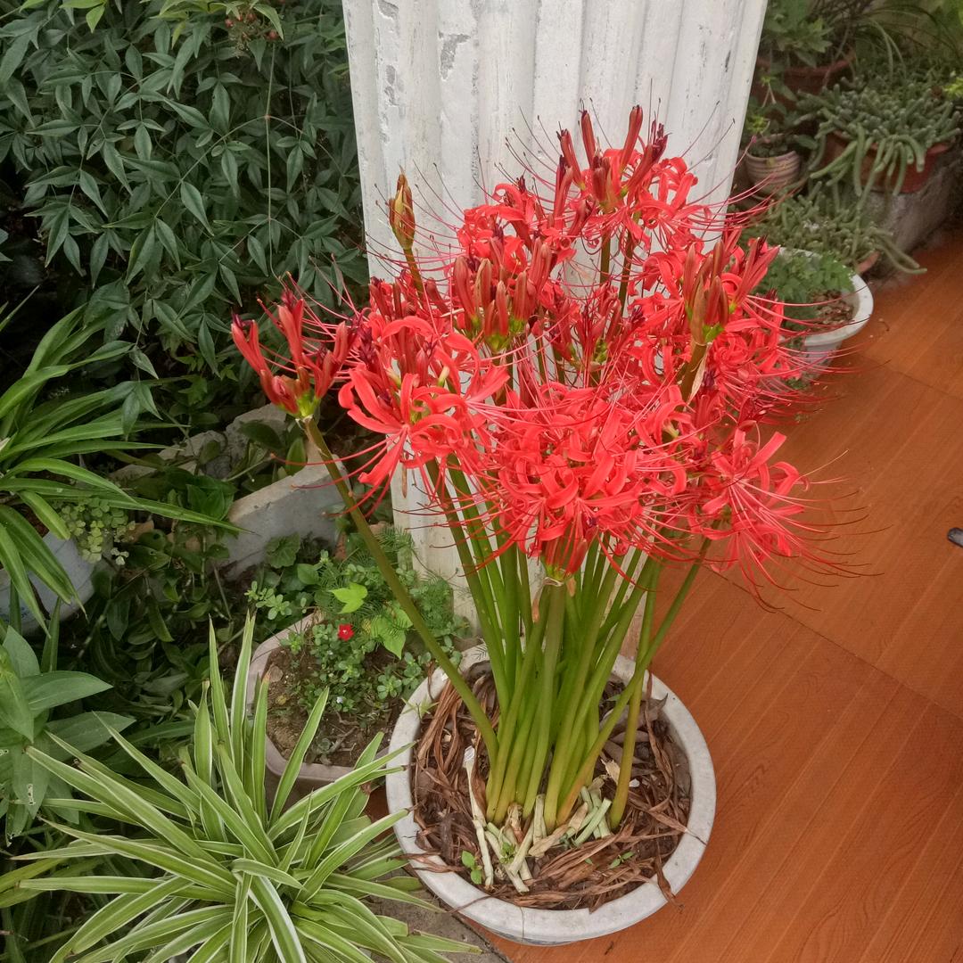 君子之交淡如水！