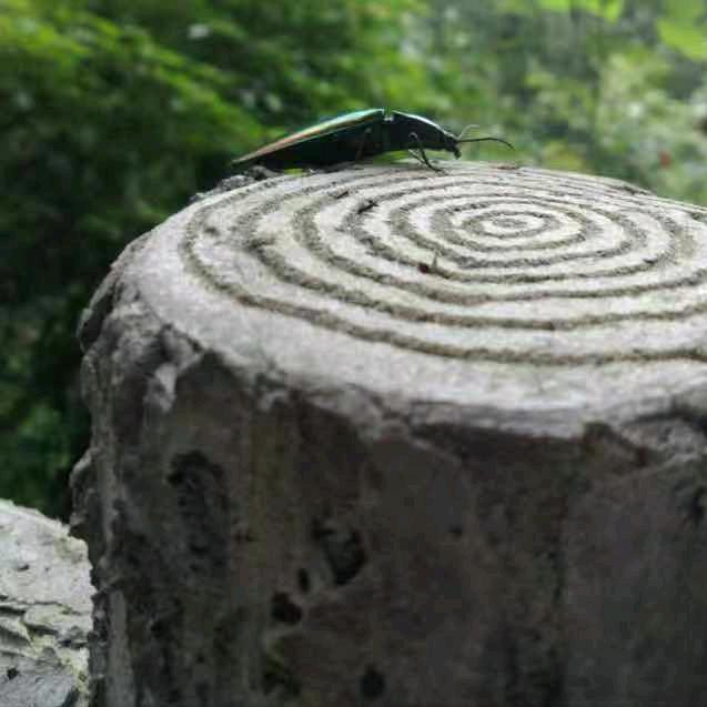 晴天｜