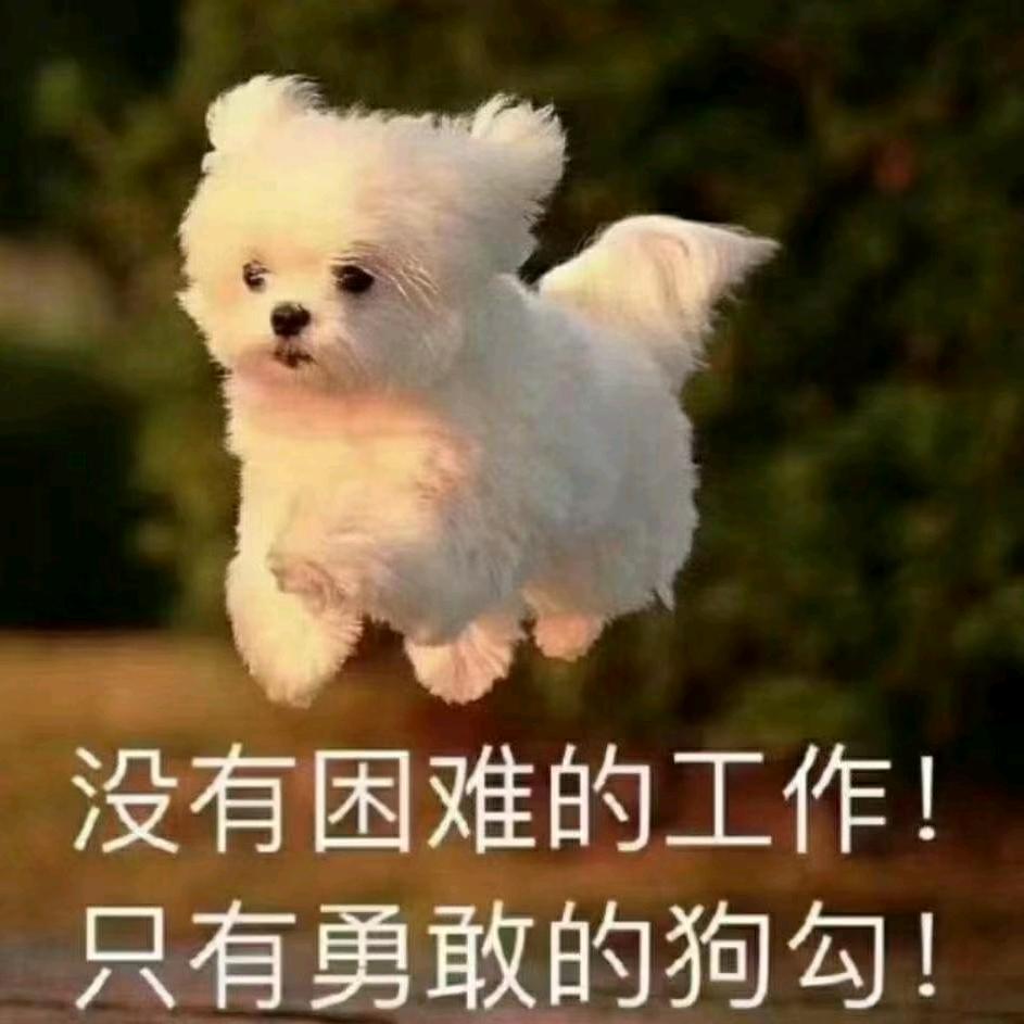 麻烦邪神