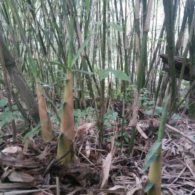 深夜过后是黎明