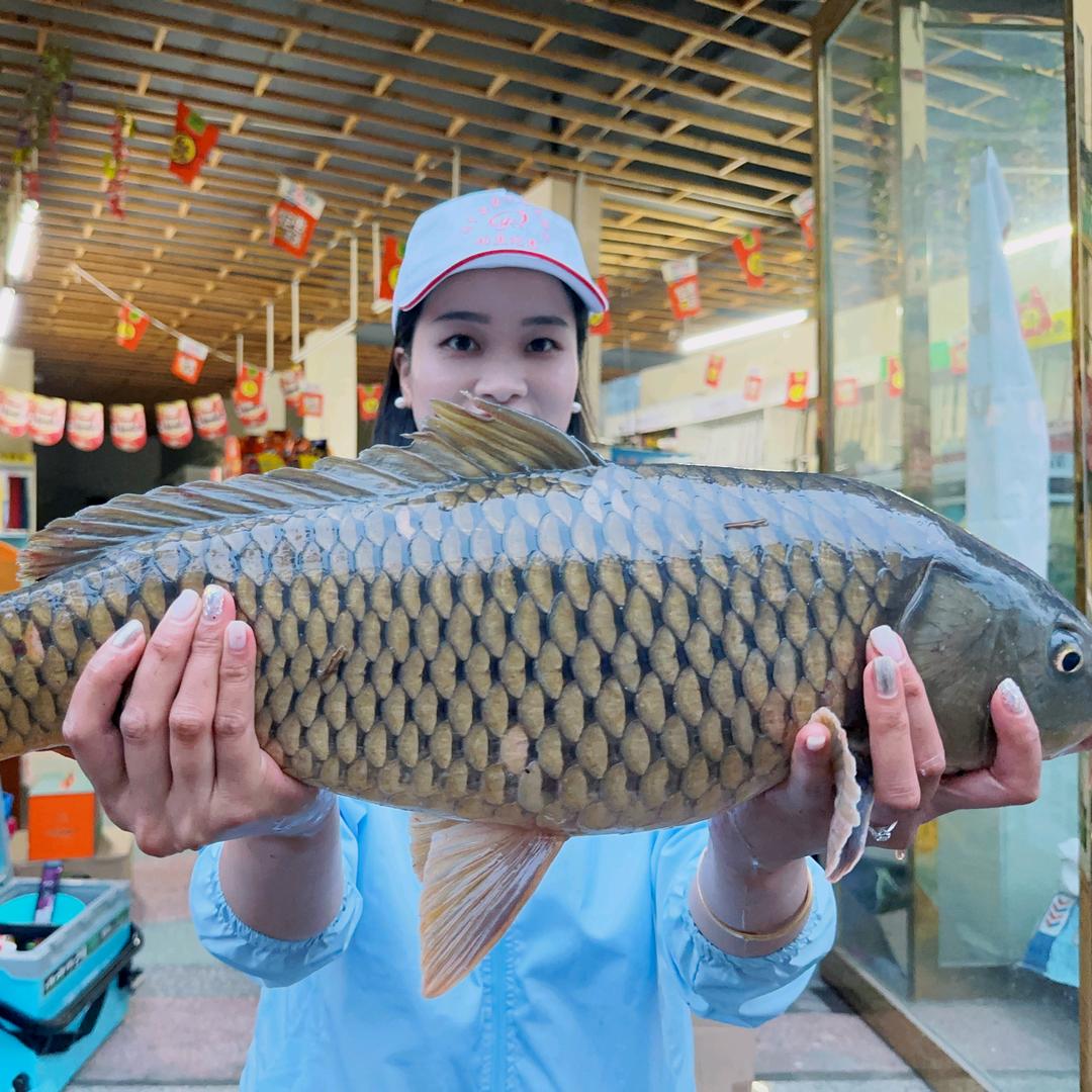 文洋渔具店.空军璐