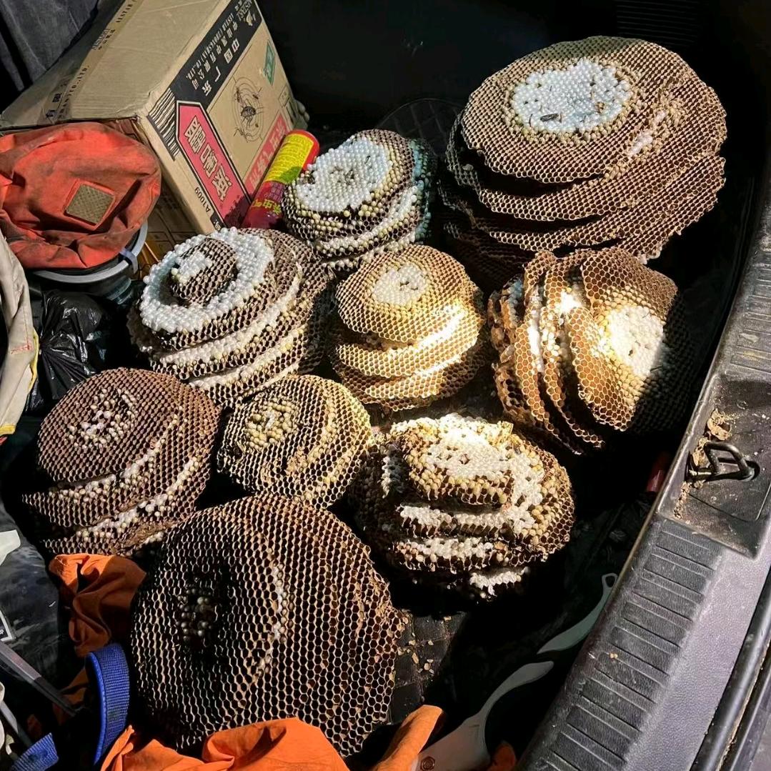 ～¥～逝去的温柔$