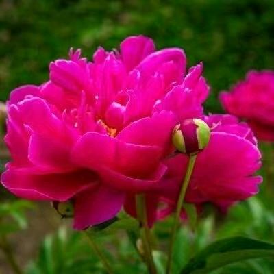 萍水相逢