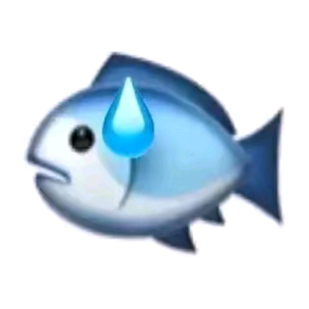 ﹌﹏🐟﹌﹏