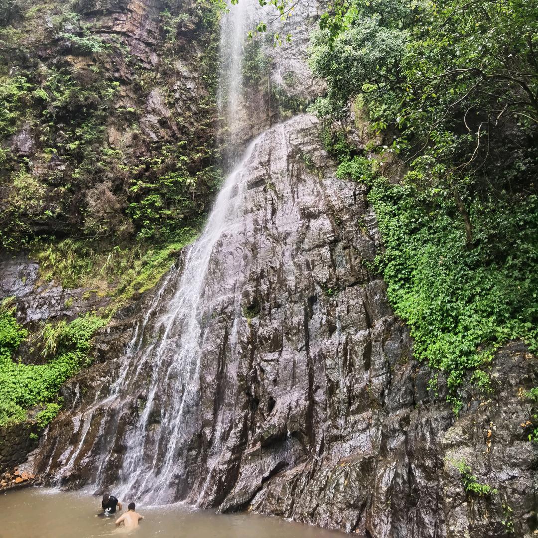 （浪子）“回头”！