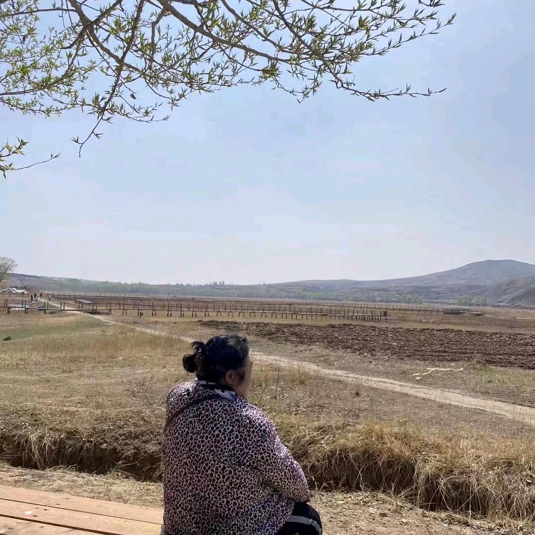 念梅