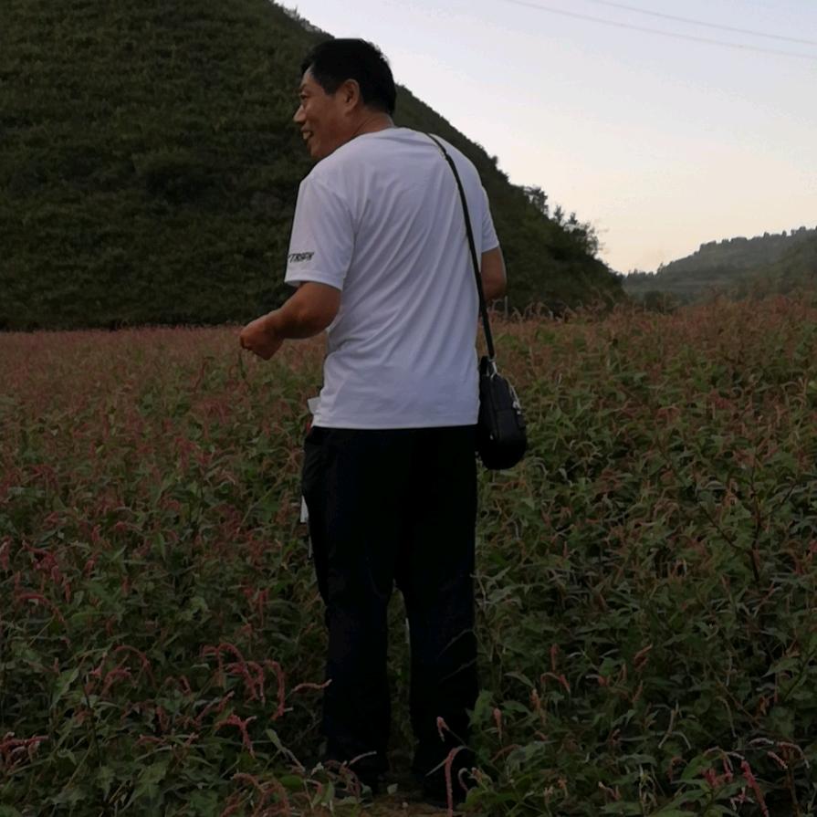 董事长好物
