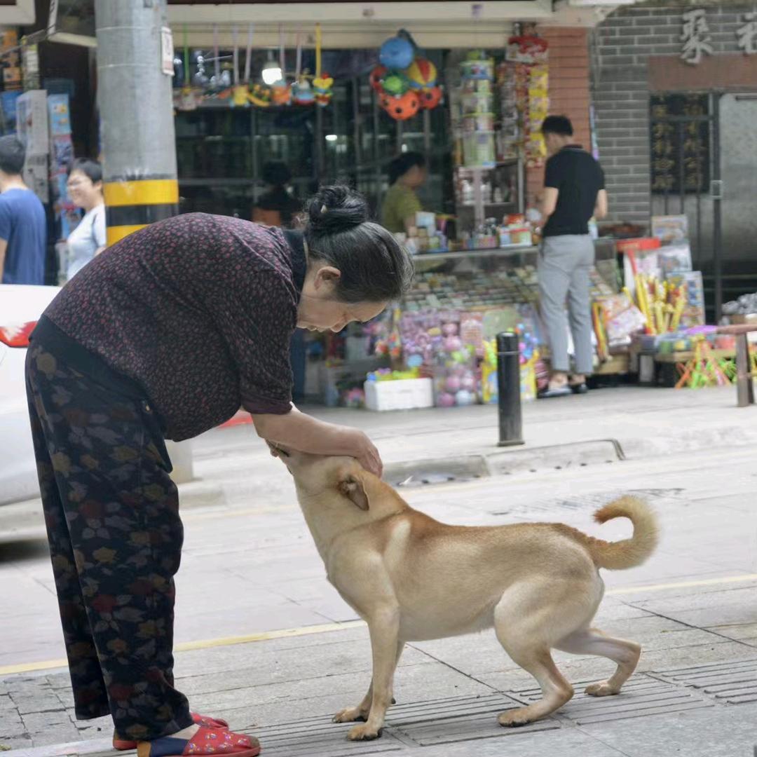 重庆陈泽华喵汪家园🏠