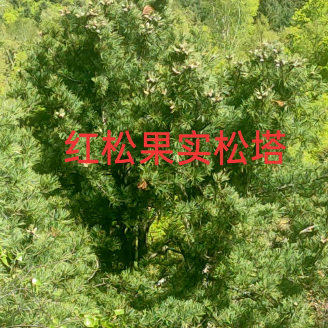 今生有缘今生相聚