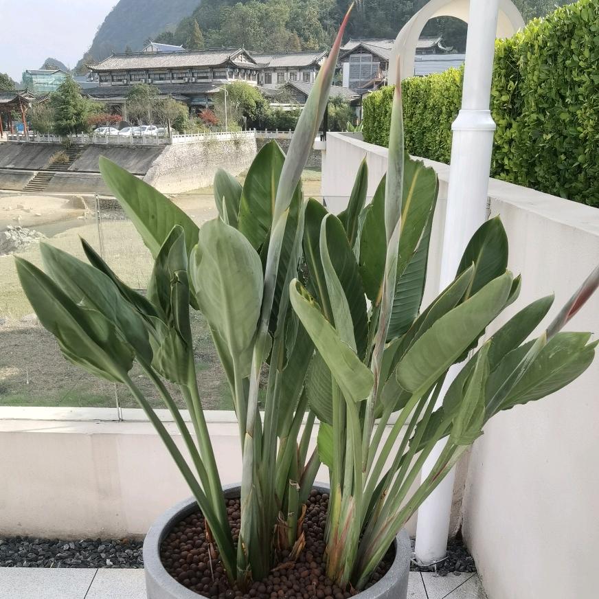 郭林佳惠超市中环店