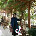 银杏树