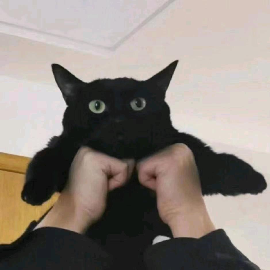 维 尼