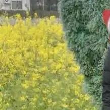 幸福快乐