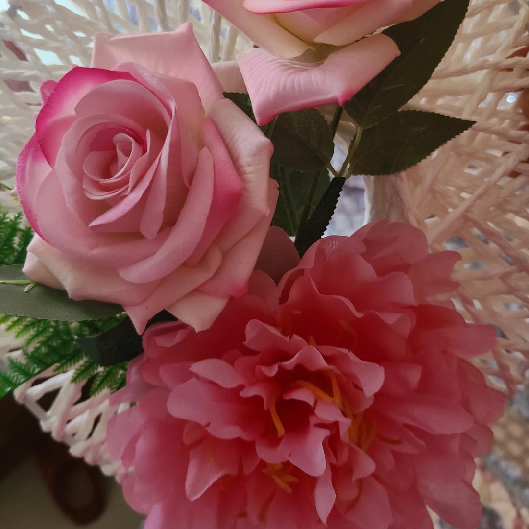 💖洋妞