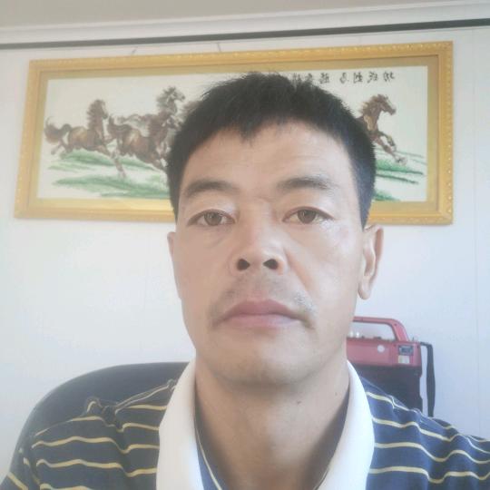 顺顺歌