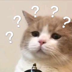 ㅤ ㅤ ㅤ ㅤ ㅤ ㅤ ㅤ ㅤ