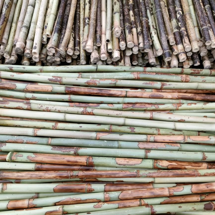 乐器竹料供应商