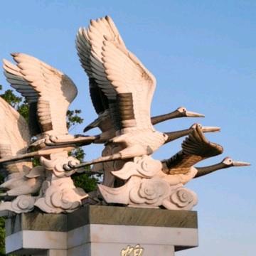 粤游观察者