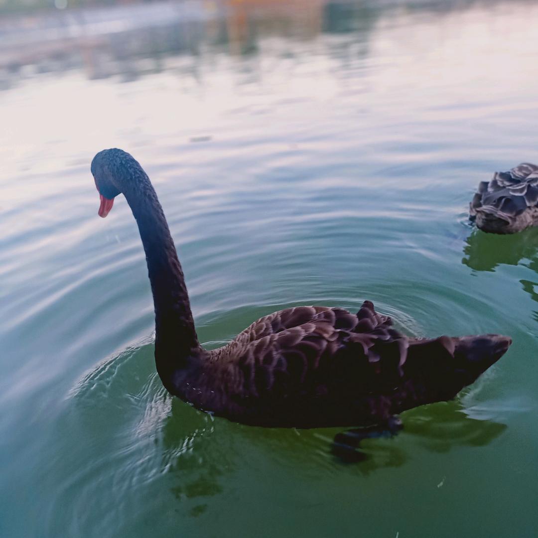 蚂蚁婚纱摄影工作室