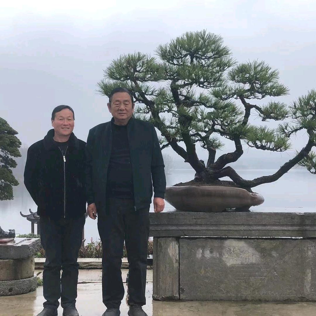 明光市黑松盆景家庭农场
