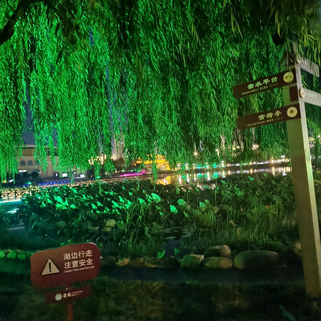 深擁孤獨