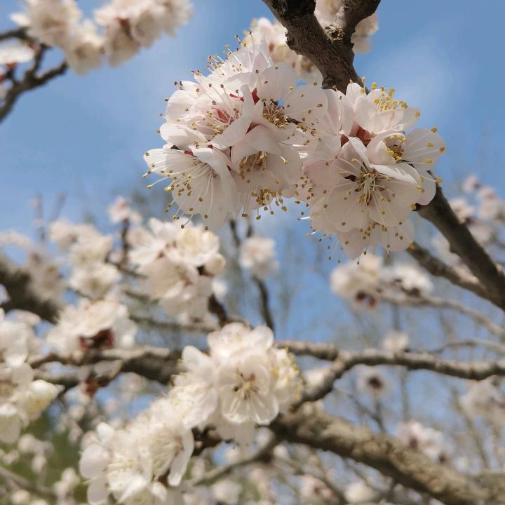 期待(๑˙ー˙๑)