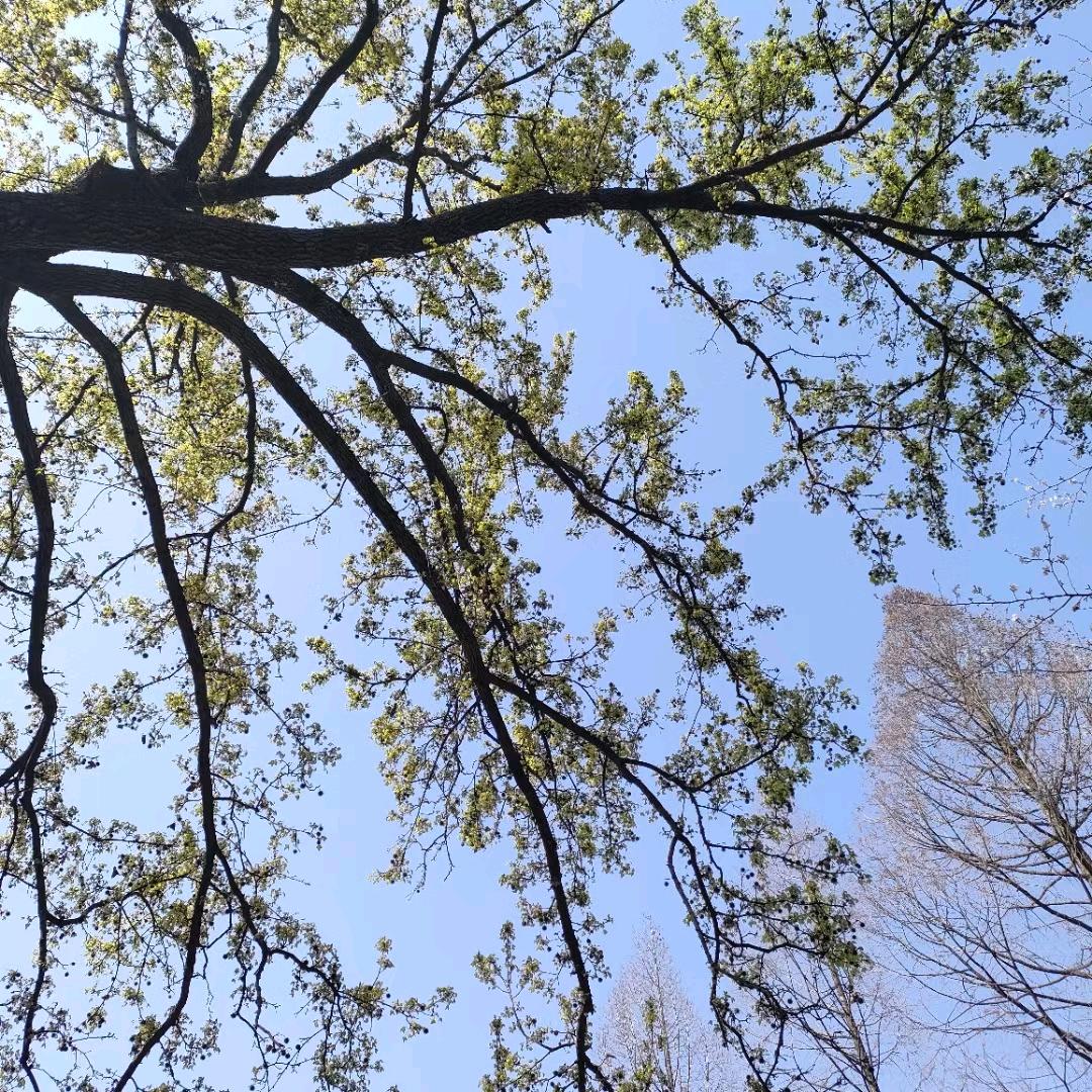 ♥美朵【好物】