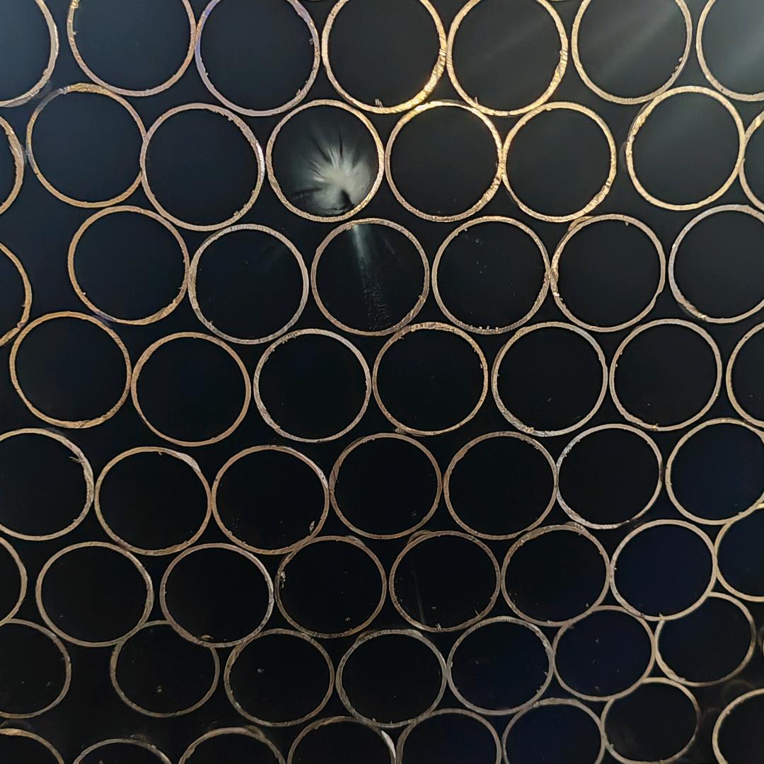 春