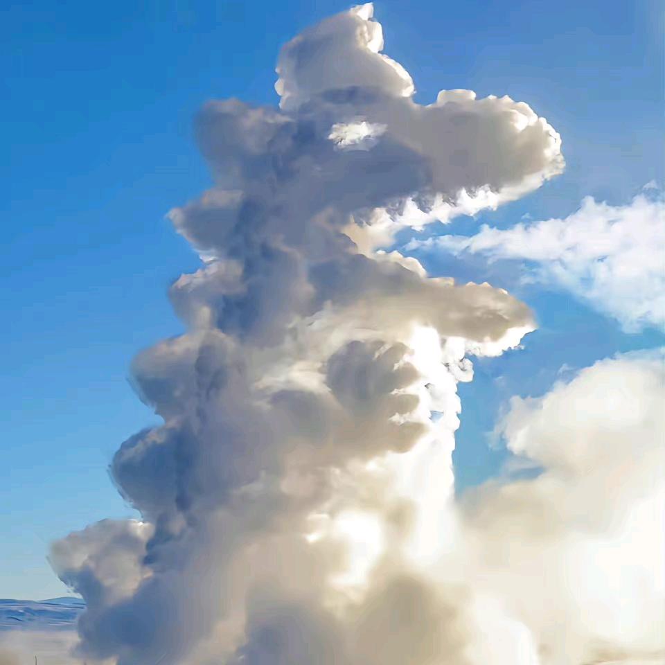 宇宙无敌超炫霸王龙