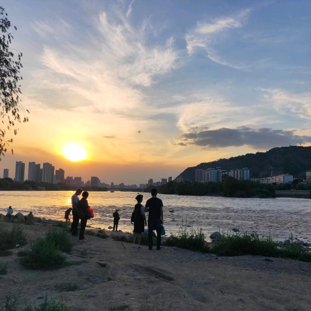 梦里花落知多少