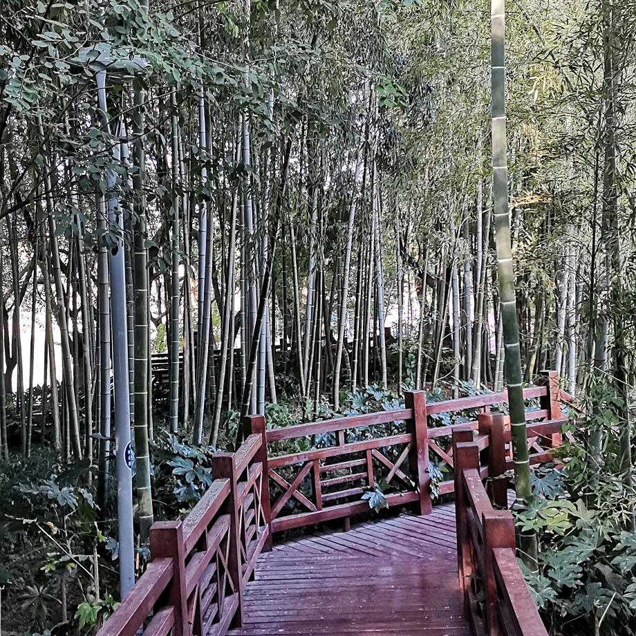 晴天☀️侯哥