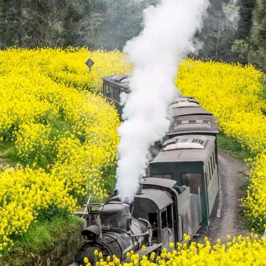 勇往直前问往为来