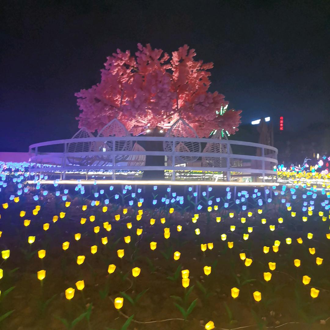 飞锅