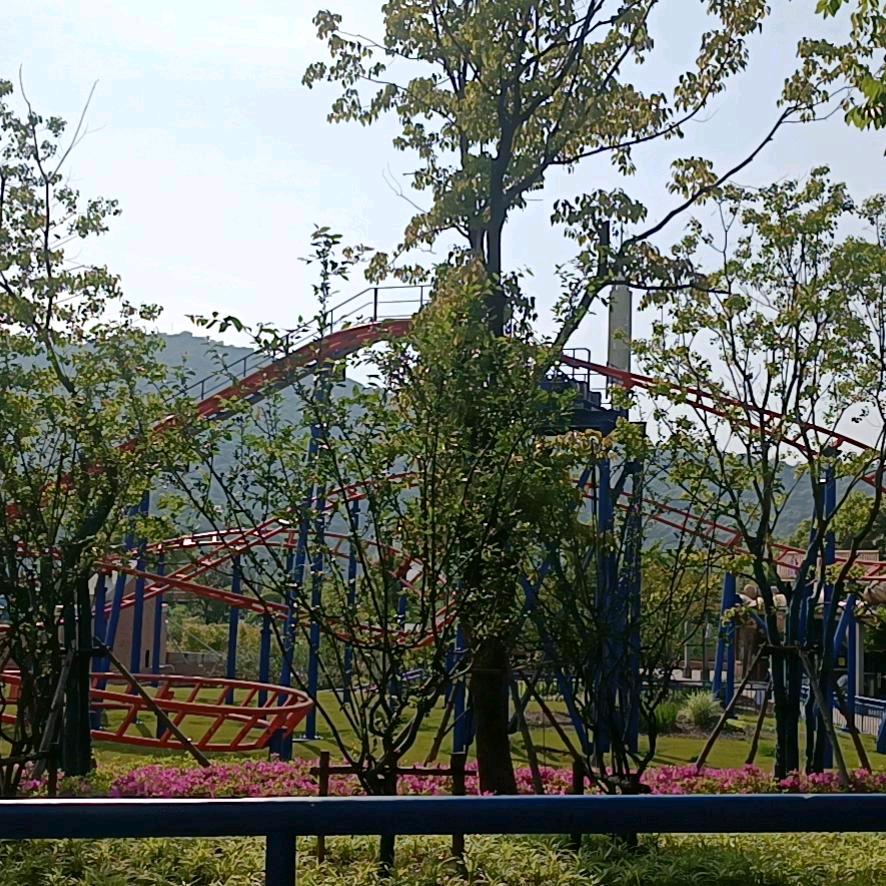风雨飘摇
