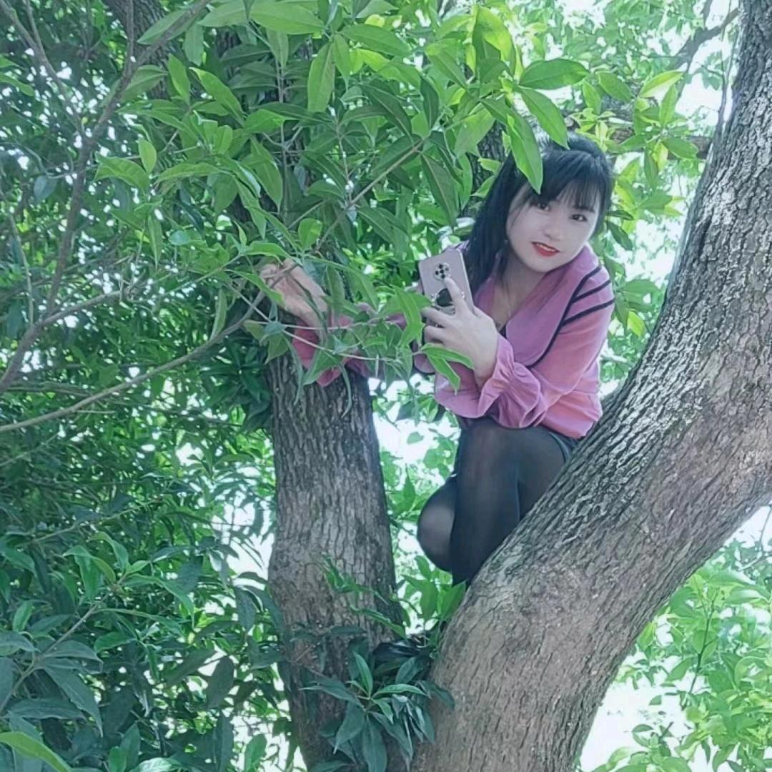 ꧁小燕子꧂