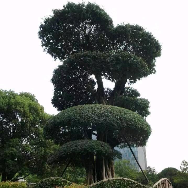 顺其自然。