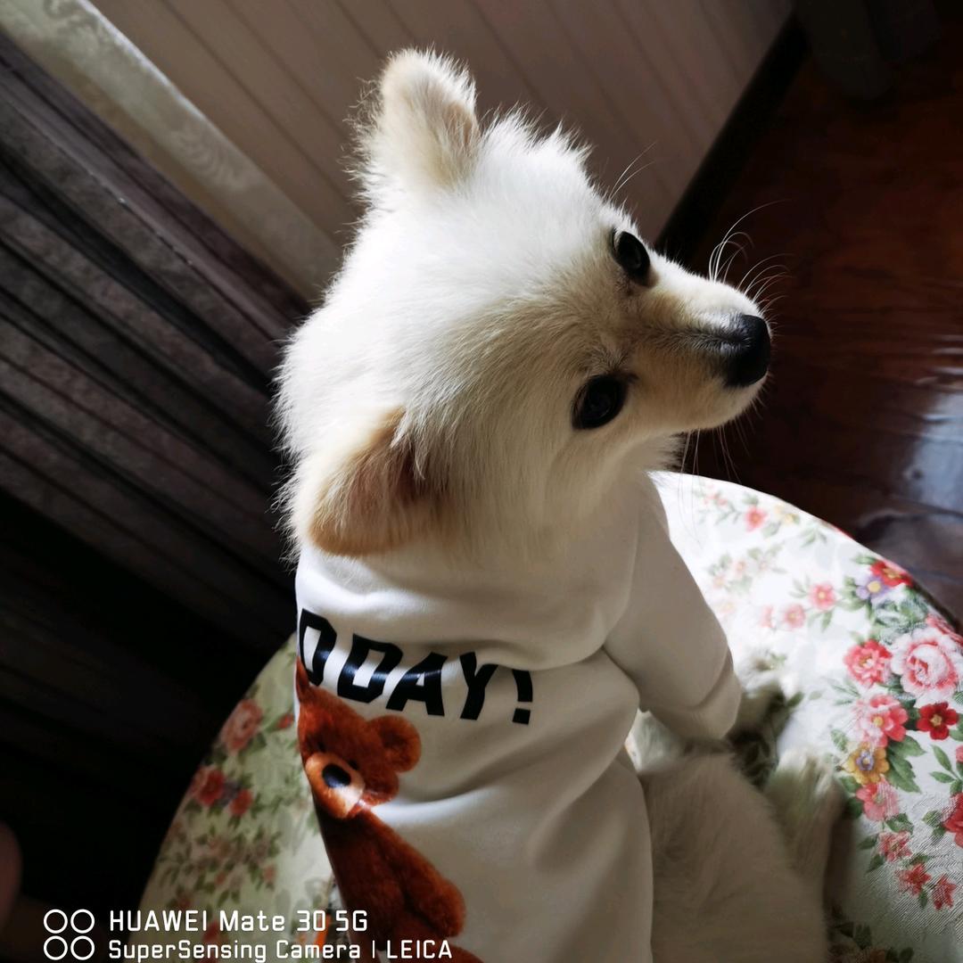 陆