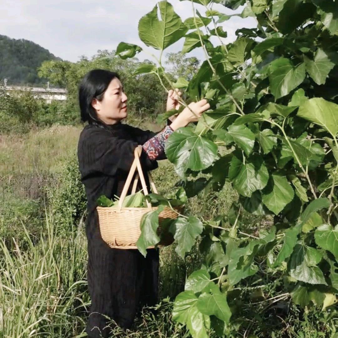 李奕荞•健康文化