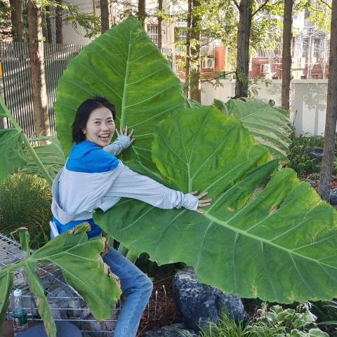 若桐植物通【9月底线下课】