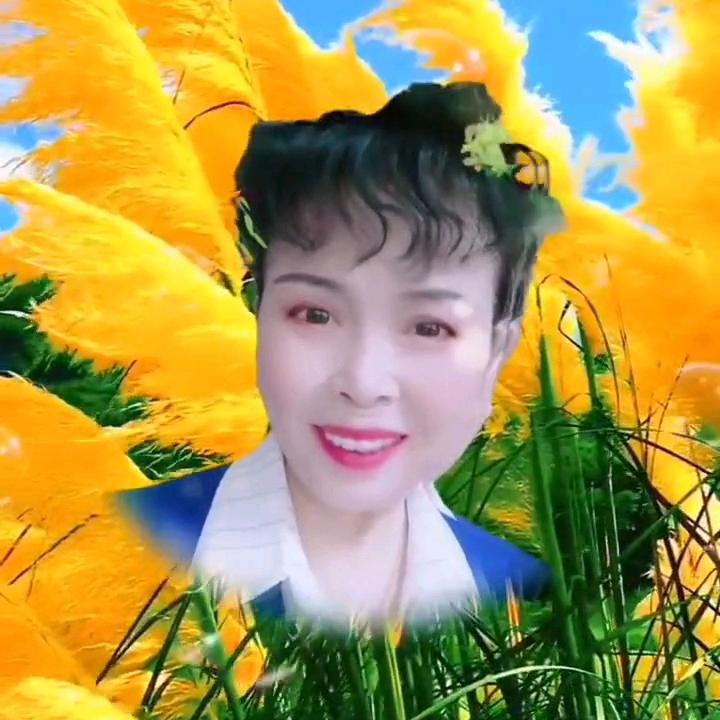 天天高兴，天天开心