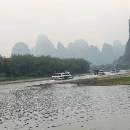 一往情深