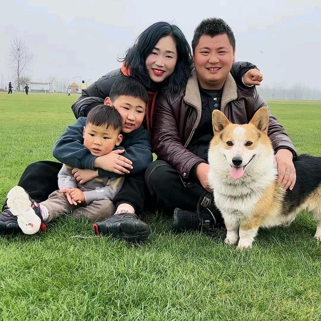 A:宠物狗岀售：小吴家宠
