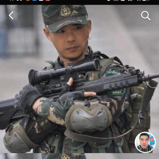 金龙🐉