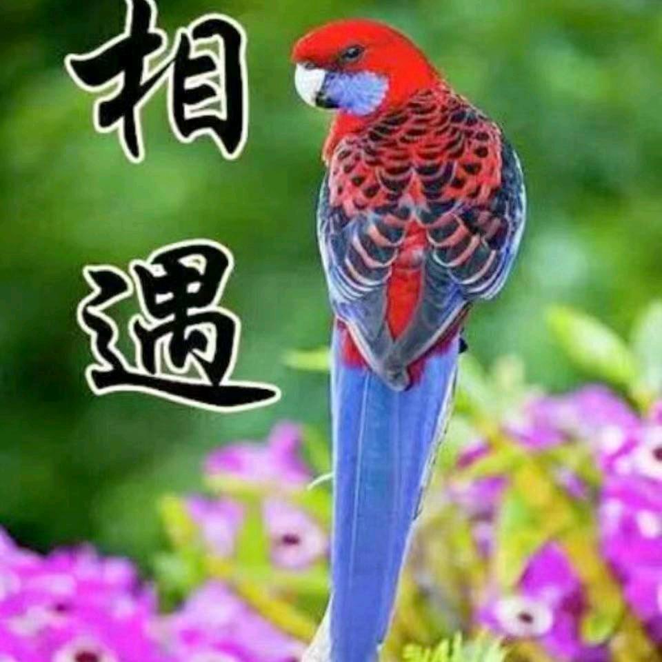 用户虎哥